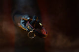Close-up of a leather collar with a ring on a dark background