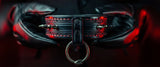 Black leather collar with red lighting held by gloved hands against a dark background